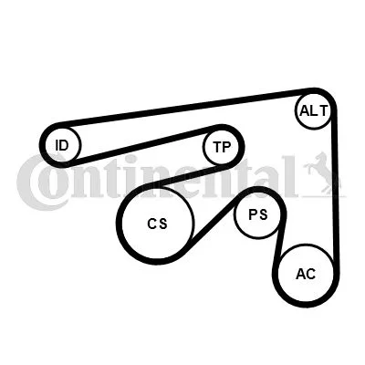 V-ribbed Belt Set CONTINENTAL CTAM 7PK2061K1