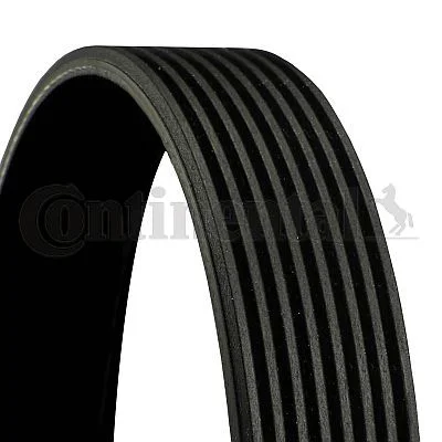 V-ribbed Belt CONTINENTAL CTAM 8PK955