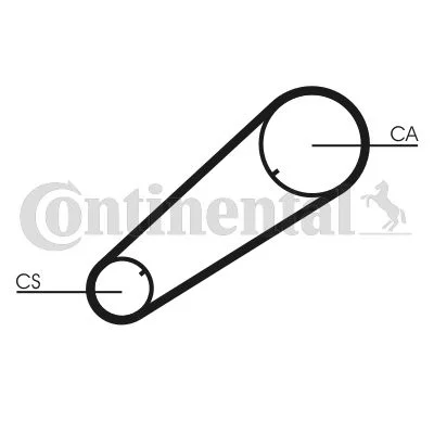 Timing Belt CONTINENTAL CTAM CT1004