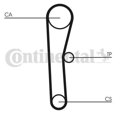 Timing Belt CONTINENTAL CTAM CT536