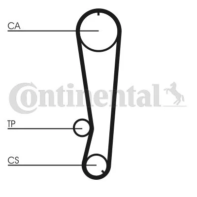 Timing Belt CONTINENTAL CTAM CT569