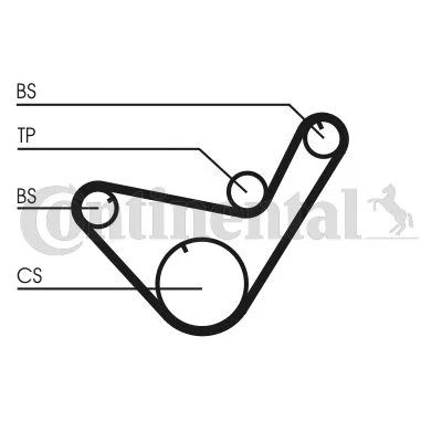Timing Belt CONTINENTAL CTAM CT714