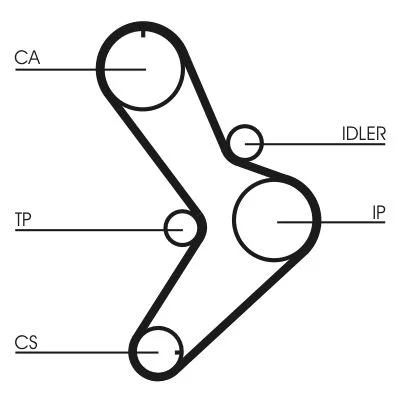 Timing Belt CONTINENTAL CTAM CT731