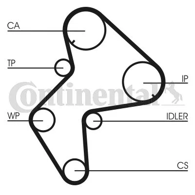 Timing Belt CONTINENTAL CTAM CT775