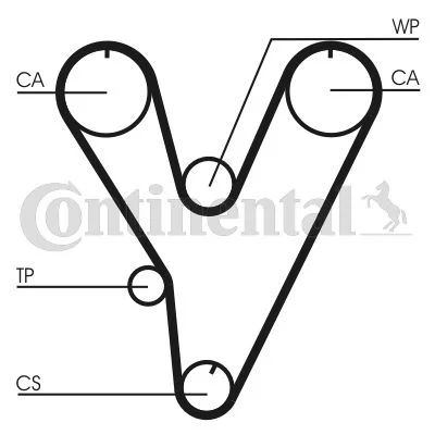 Timing Belt CONTINENTAL CTAM CT805
