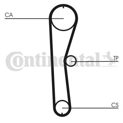 Timing Belt CONTINENTAL CTAM CT824