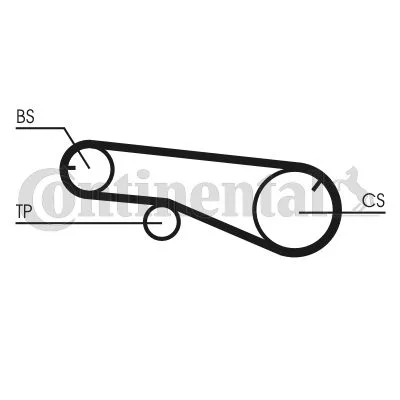 Timing Belt CONTINENTAL CTAM CT991