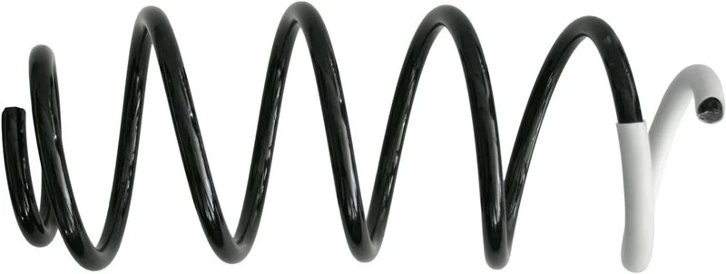 Suspension Spring SACHS 993 515