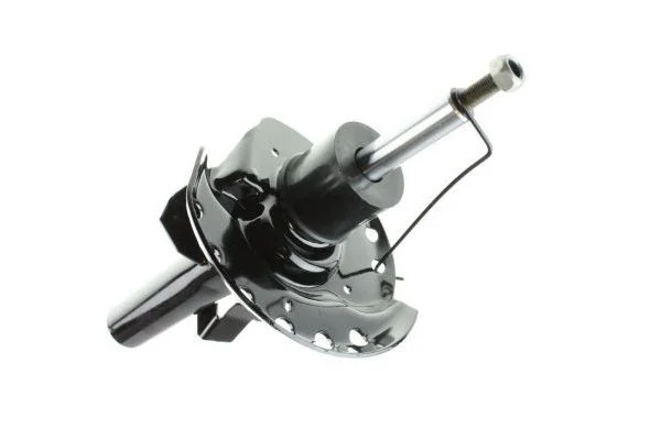 Shock Absorber AUTOMEGA 110018010