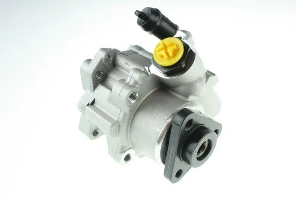 Hydraulic Pump, steering AUTOMEGA 110046310