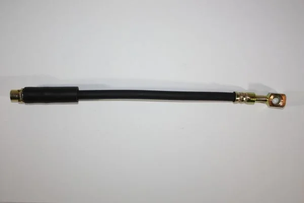Brake Hose AUTOMEGA 120078710