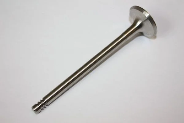 Exhaust Valve AUTOMEGA 130097110