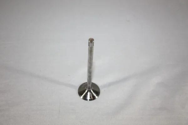 Intake Valve AUTOMEGA 130106910