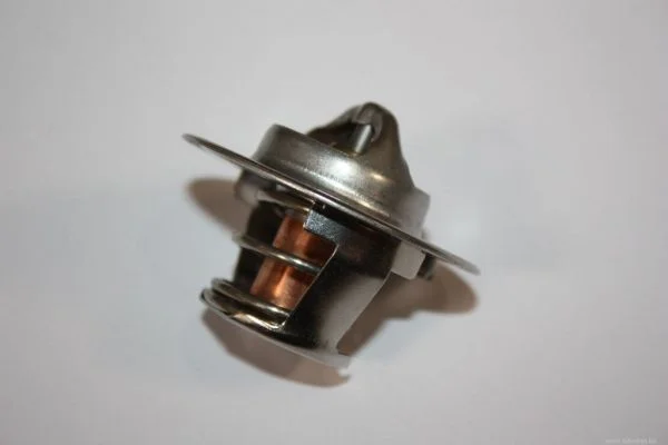 Termostat chladenia AUTOMEGA 160099810