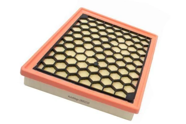 Oro filtras AUTOMEGA 180022010