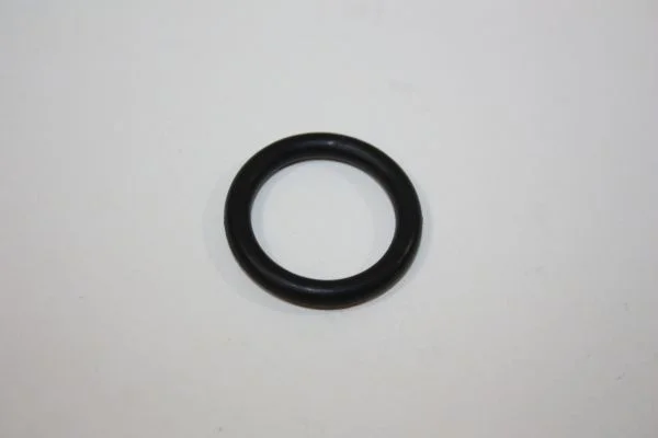 Seal Ring, thermal switch AUTOMEGA 190013310