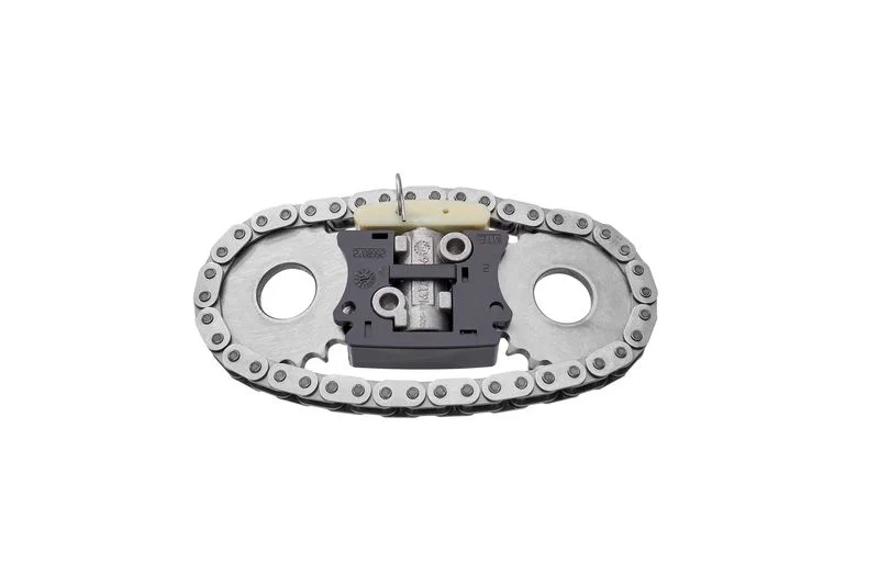 Paskirstymo grandinės komplektas BORGWARNER 59007150000