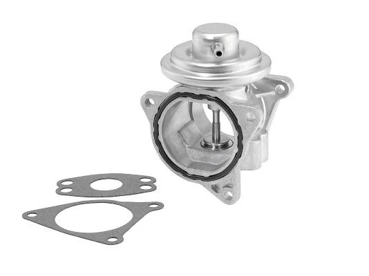 ERG vožtuvas BorgWarner 7496D/1