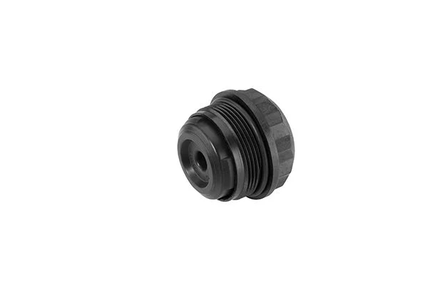 Hydraulic Filter, multi-plate clutch (all-wheel drive) borgwarner DS120359
