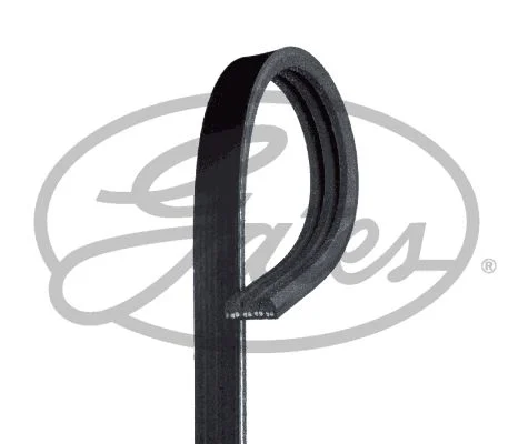 V-ribbed Belt GATES 3PK560
