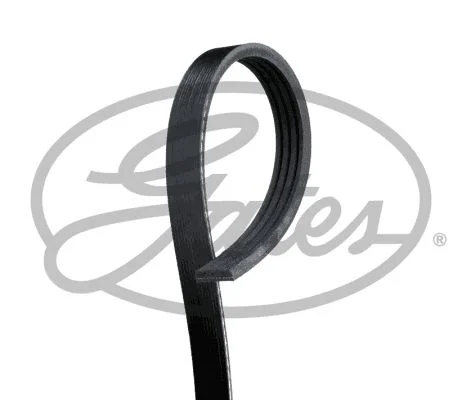 V-ribbed Belt GATES 4PK595
