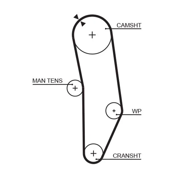 Timing Belt GATES 5010