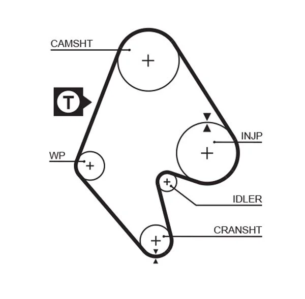 Timing Belt GATES 5129