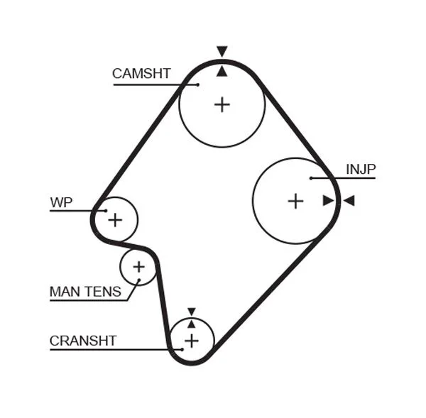 Timing Belt GATES 5300XS