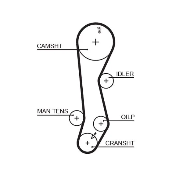 Timing Belt GATES 5389XS