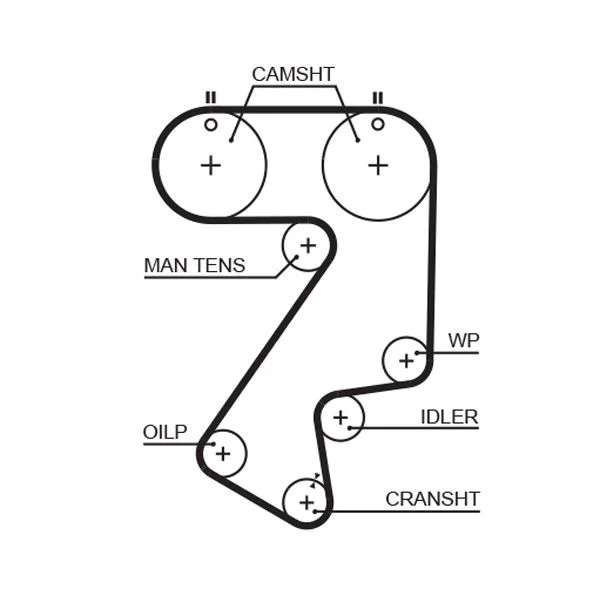 Timing Belt GATES 5404XS