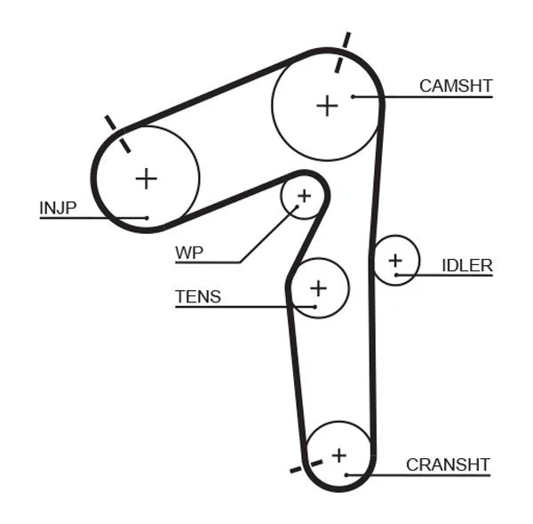 Timing Belt GATES 5462XS