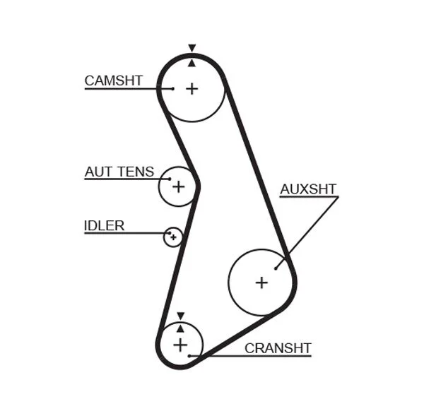 Timing Belt GATES 5492XS
