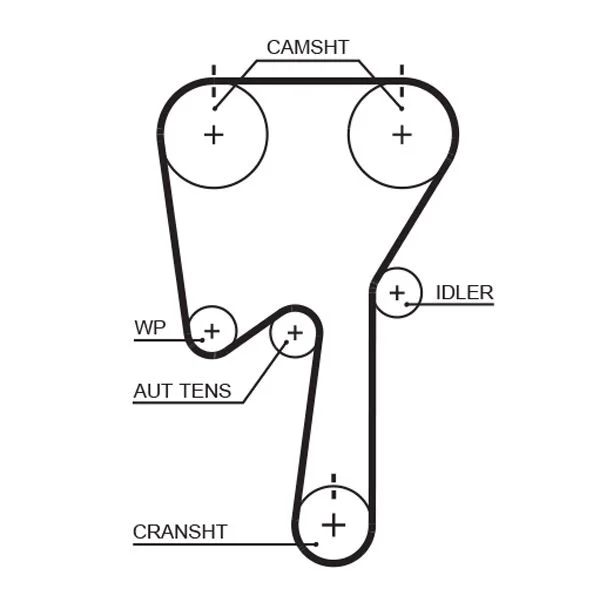 Timing Belt GATES 5509XS