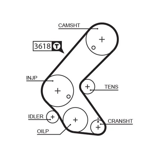 Timing Belt GATES 5563XS