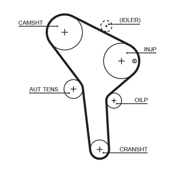 Timing Belt GATES 5564XS