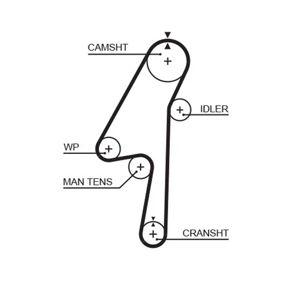 Timing Belt GATES 5580XS