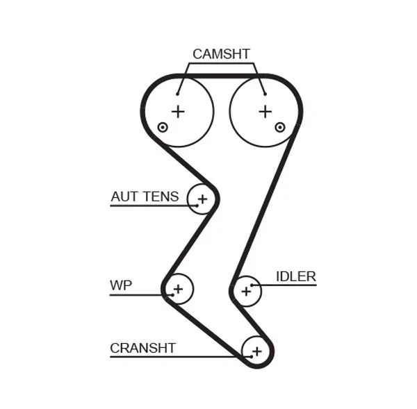 Timing Belt GATES 5582XS