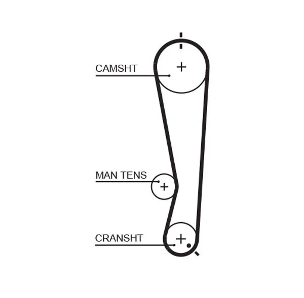Timing Belt GATES 5591XS