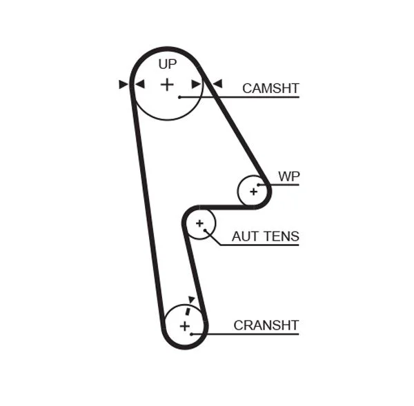 Timing Belt GATES 5593XS