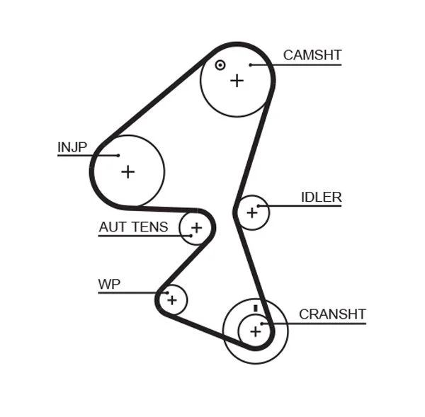 Timing Belt GATES 5598XS
