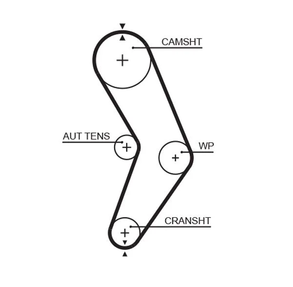 Timing Belt GATES 5662XS