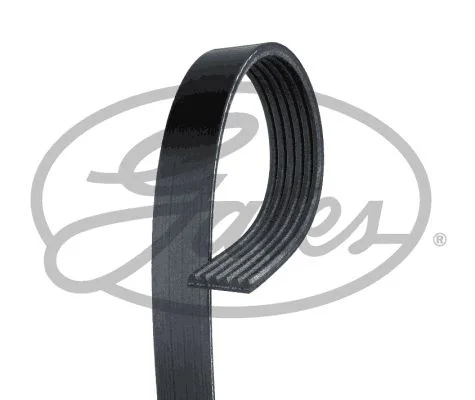V-ribbed Belt GATES 6PK779SF