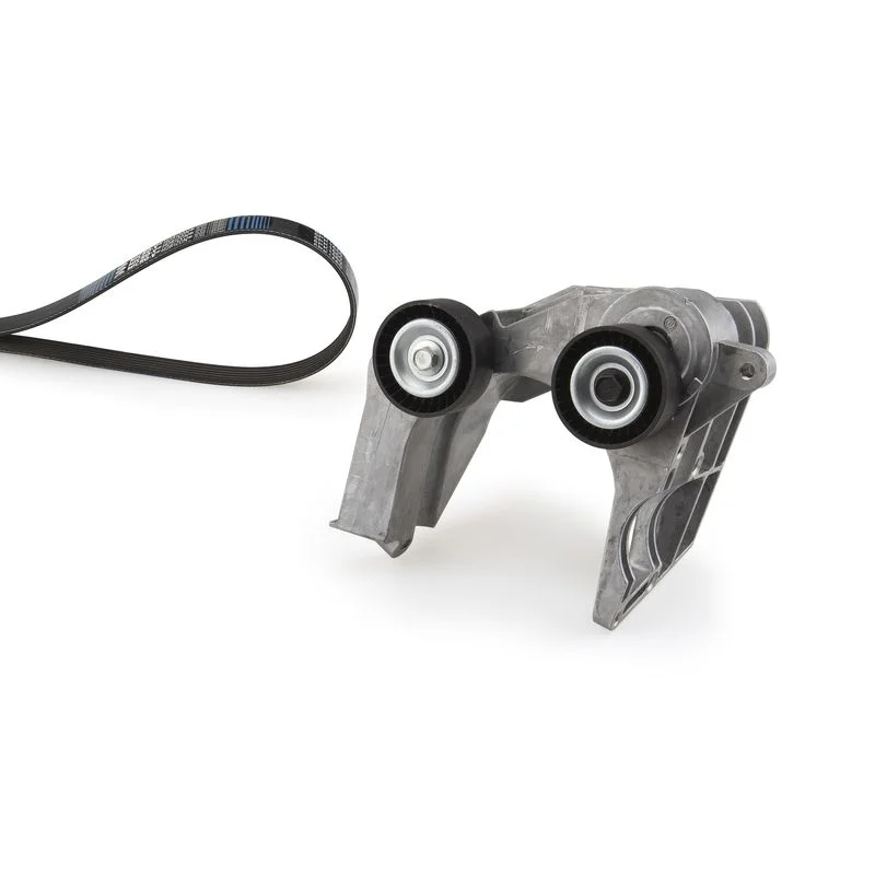 Sada klinových rebrovaných pásov GATES K256PK1700