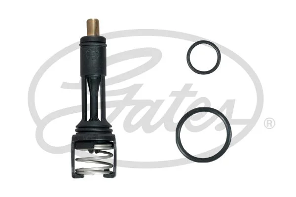 Thermostat, coolant gates TH606113G1