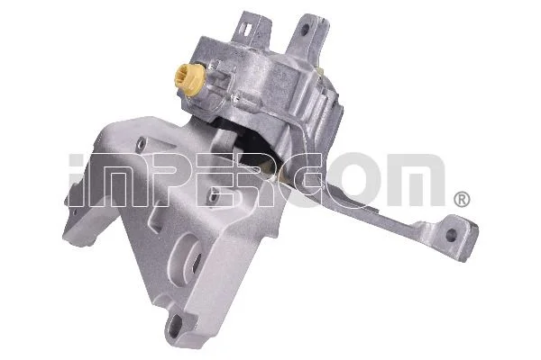 Variklio montavimas IMP 610669