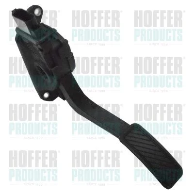 Važiavimo pedalų komplektas HOFFER 7513636