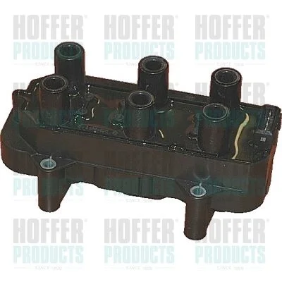 Ritė, uždegimas HOFFER 8010515