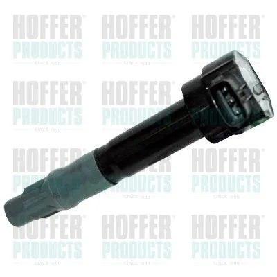 Ritė, uždegimas HOFFER 8010688