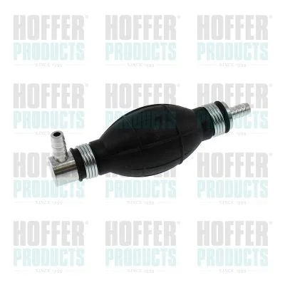Injection System HOFFER 8029068