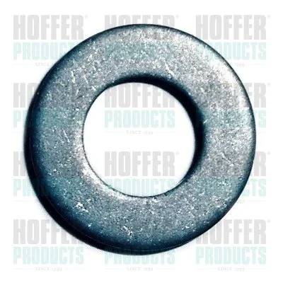 Seal Ring, nozzle holder HOFFER 8029708